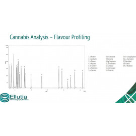 análise de sabor na cannabis